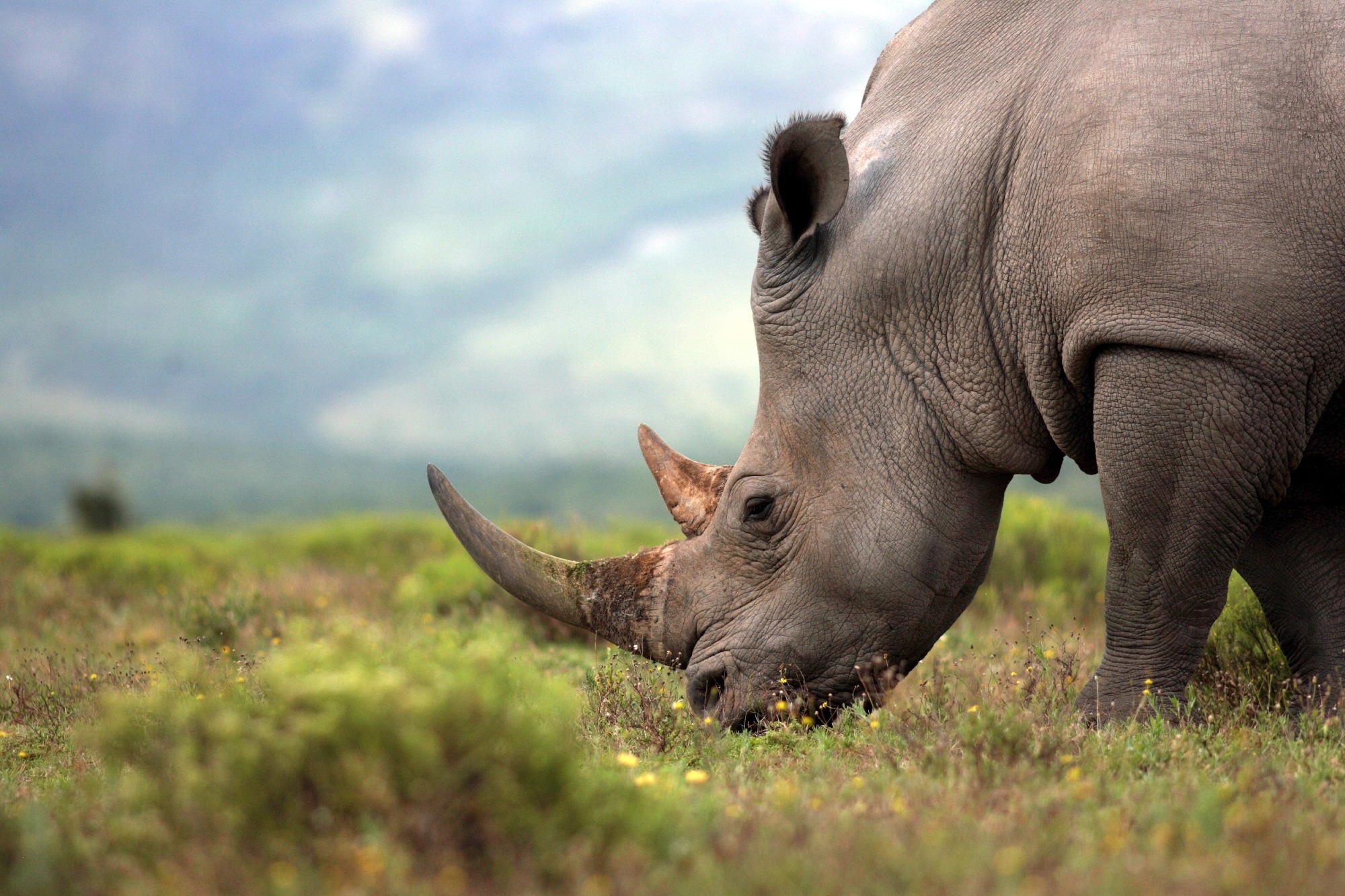 Image Credit: JONATHAN PLEDGER/Shutterstock