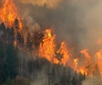 Machine Learning Boosts Wildfire Smoke Detection