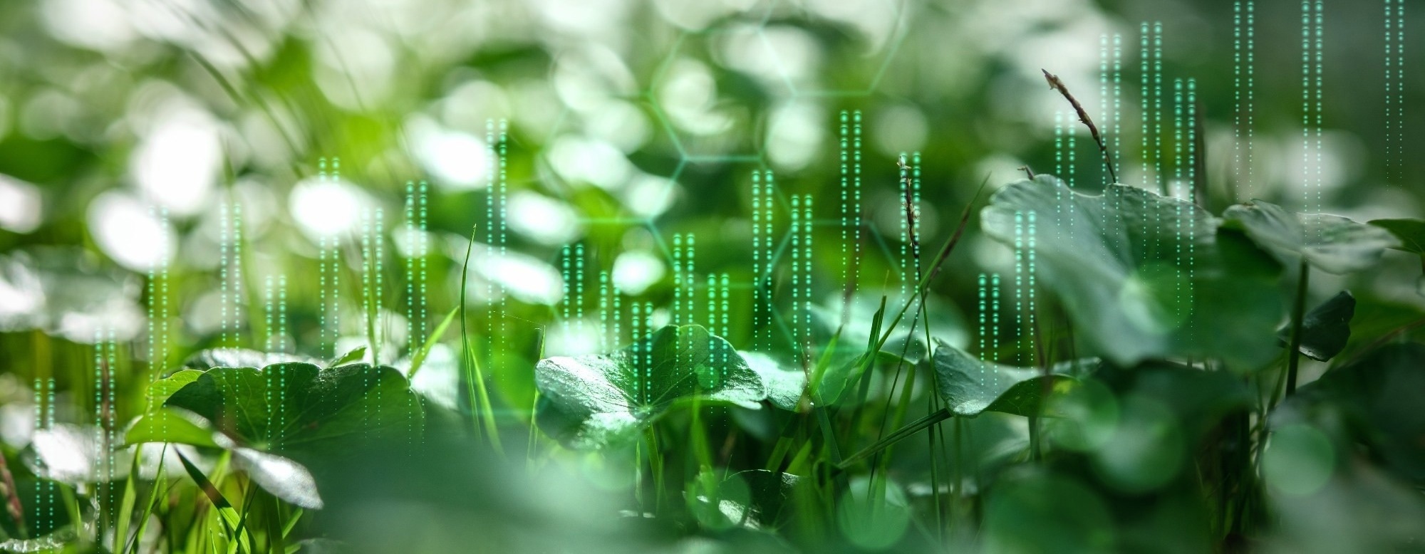 How AI-Driven Science Is Revolutionizing Environmental Decision-Making Worldwide