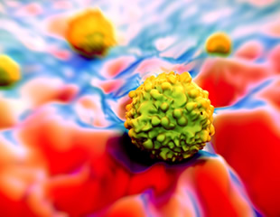 The Hidden Infrastructure Cost Behind Every AI Answer