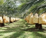 Revolutionizing Date Palm Health: A New AI Algorithm for SDS Detection