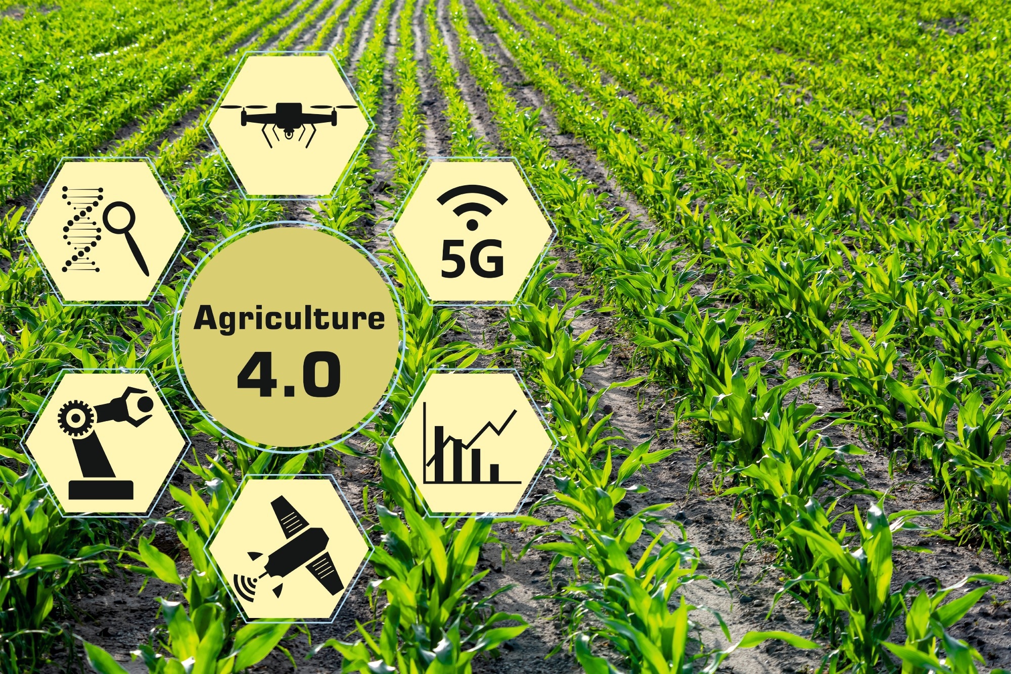 Study: Enhancing Cybersecurity in Agriculture 4.0: A Novel Intrusion Detection System Using Prairie Dog Optimization. Image credit: attraction art/Shutterstock