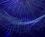 Advancing Spiking Neural Networks: The NeuEvo Framework