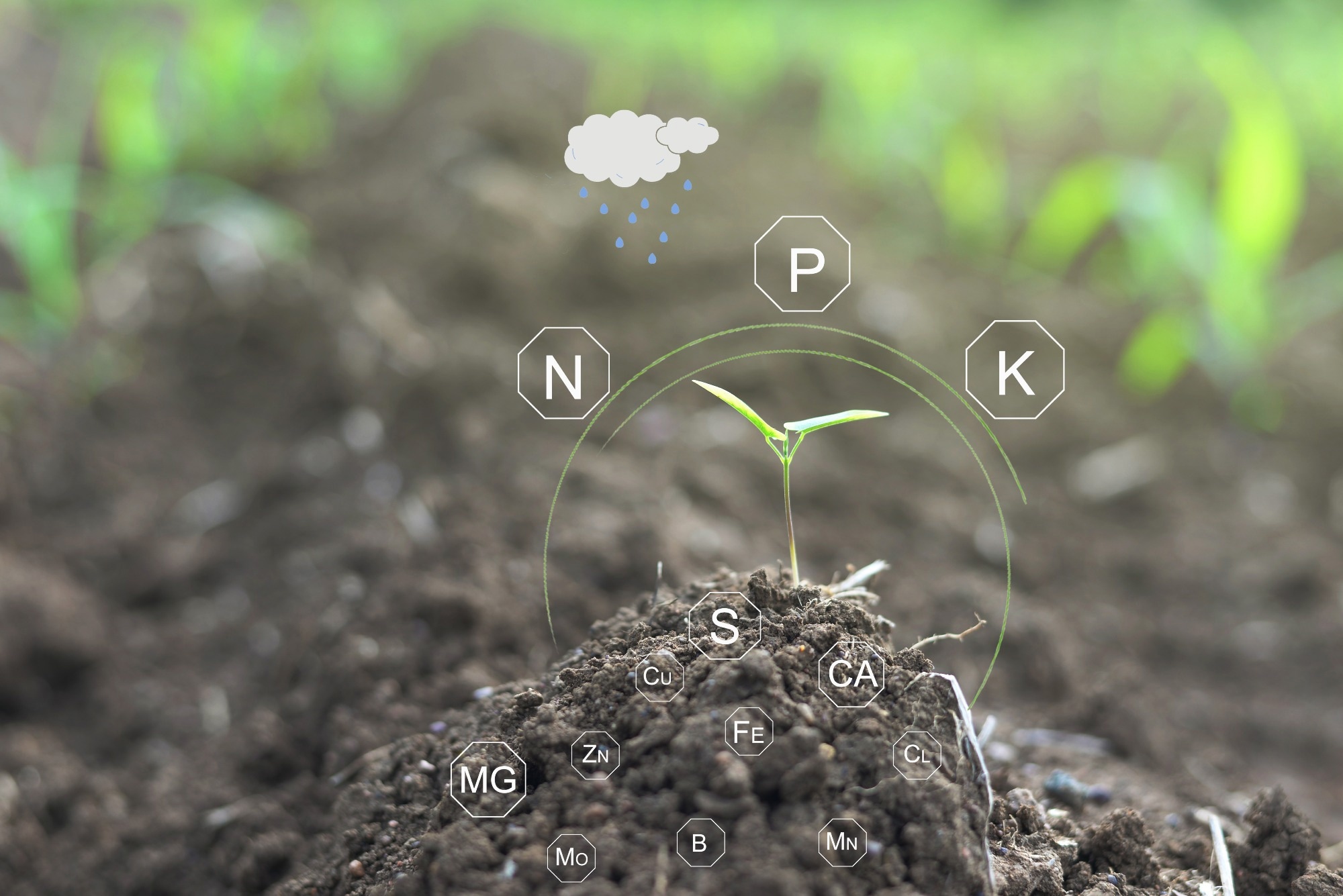 Study: Predicting Soil Physical Properties Using GeoAI and Satellite Imagery Fusion. Image credit: SNP_SS/Shutterstock