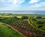 Revolutionizing Agriculture with AI: Crop Planting Density Optimization System