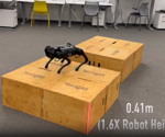 Quadrupedal Robot Learns Parkour Through Deep Reinforcement Learning