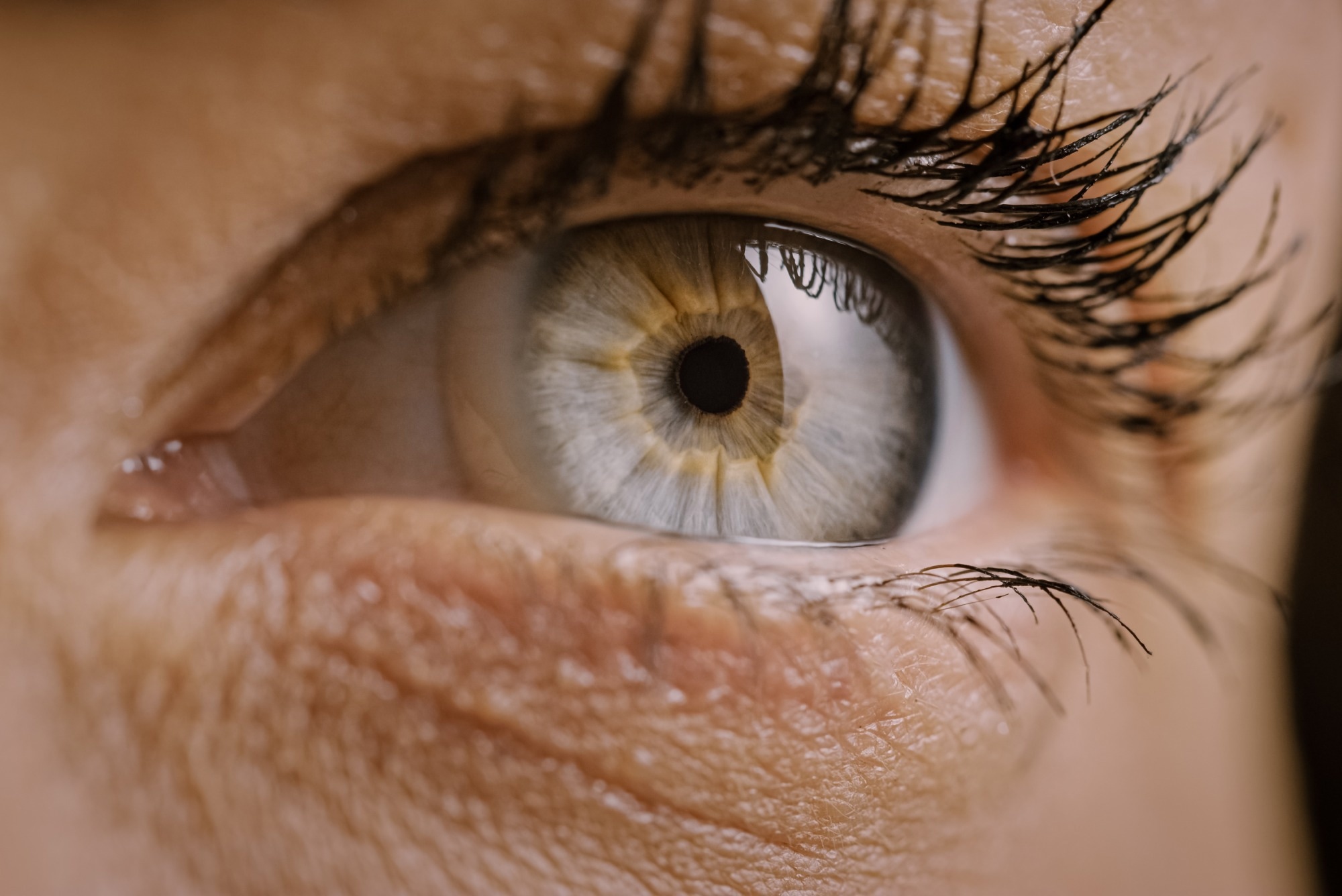 Study: BlinkLinMulT: A Transformer-Based System for Efficient Eye Blink Detection. Image credit: Gorodenkoff/Shutterstock