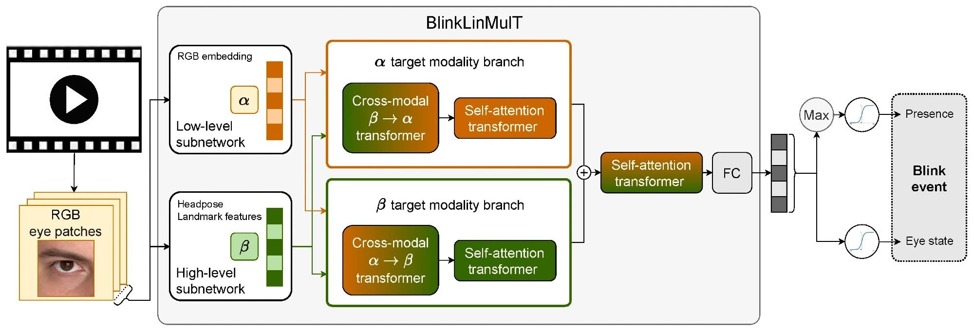 BlinkLinMulT: a multimodal transformer architecture for blink presence detection and frame-wise eye state recognition.