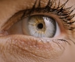 BlinkLinMulT: A Transformer-Based System for Efficient Eye Blink Detection