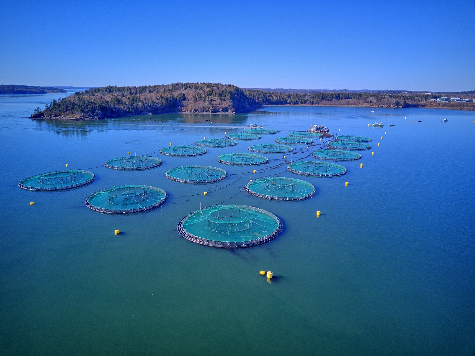 Study: Innovative Hybrid Model for Accurate Water Quality Forecasting in Aquaculture Ecosystems. Image credit: leo w kowal/Shutterstock