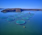 Innovative Hybrid Model for Accurate Water Quality Forecasting in Aquaculture Ecosystems