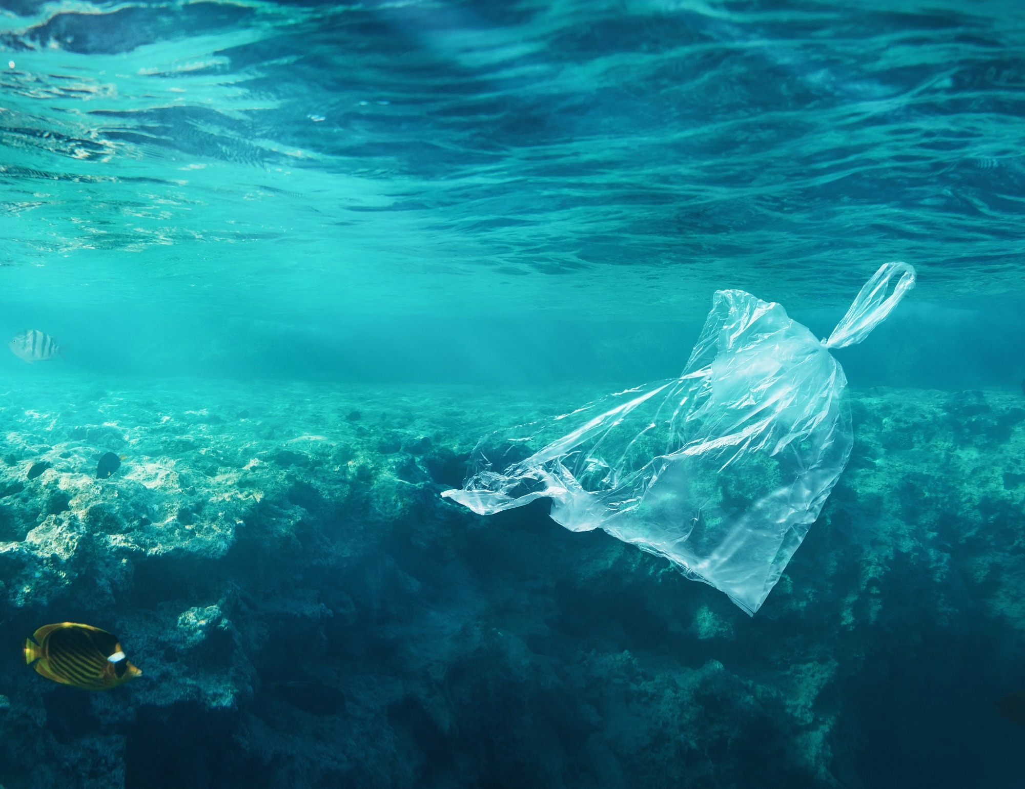 Study: Revolutionizing Ocean Cleanup: FSA Network Detects Submarine Garbage. Image credit: rangizzz/Shutterstock