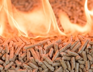 Unlocking Biomass Energy Potential: ML Model for HHV Estimation