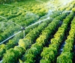 AI-Powered Groundwater Prediction for Sustainable Irrigation in Water-Scarce Regions