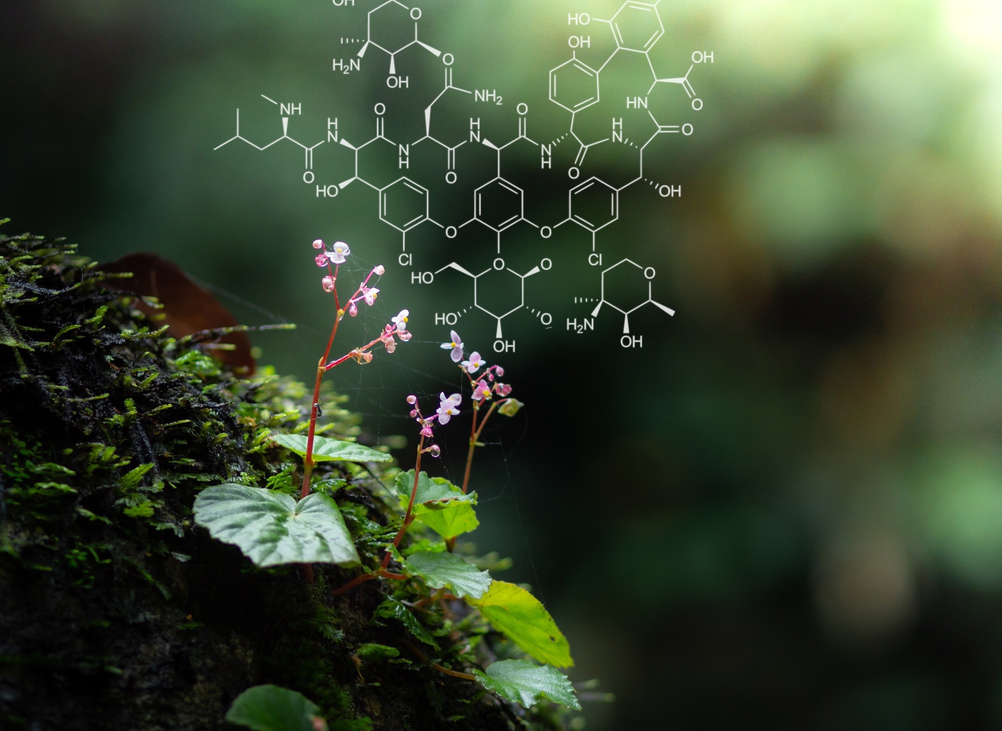 Study: Exploring the Metaverse: Transforming Plant Science through XR Technologies. Image credit: Marchu Studio/Shutterstock