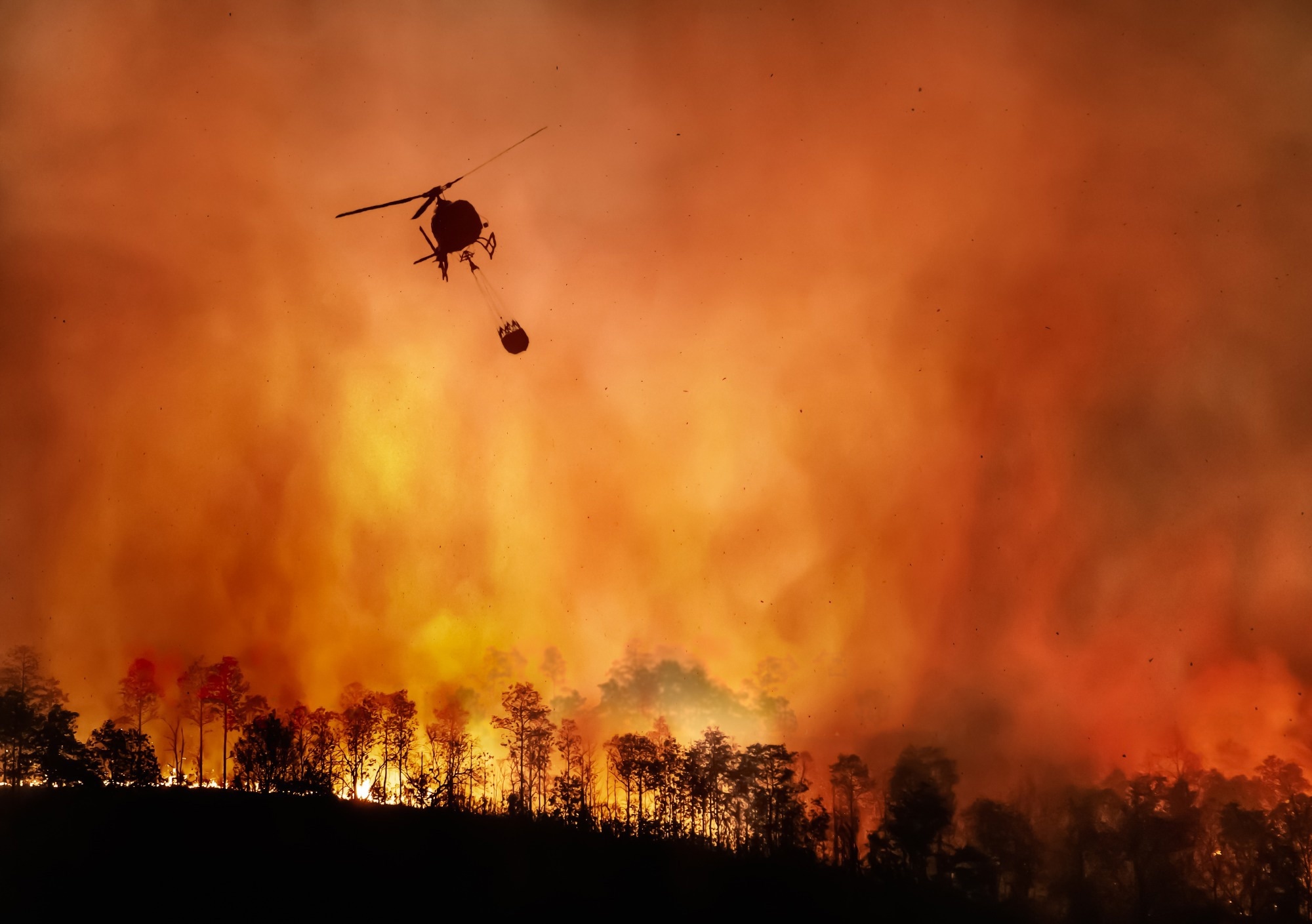 Study: Enhanced YOLOv8 for UAV-Based Wildfire Smoke Detection. Image credit: Toa55/Shutterstock
