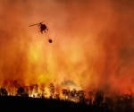Enhanced YOLOv8 for UAV-Based Wildfire Smoke Detection