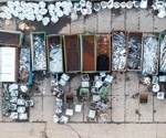 Augmented Reality-Enabled Human-Robot Collaboration for Construction Waste Sorting