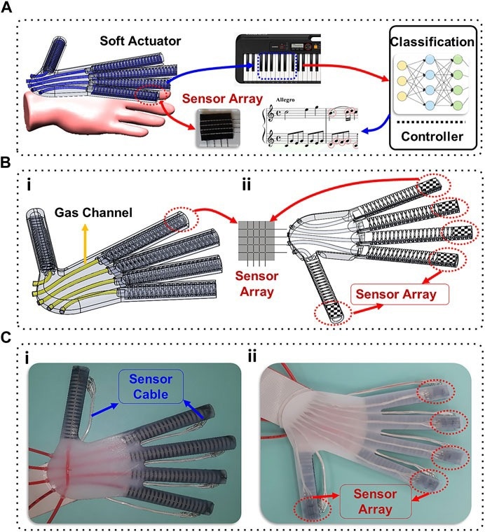 (A) Soft actuator with sensor arrays; (B) CAD model for the new sensorized soft hand exoskeleton (i) top view, (ii) bottom view; (C) The new soft hand exoskeleton (i) top view, (ii) bottom view.