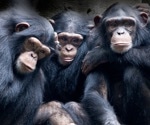 Chimpanzee Heart Rates Captured via Digital Camera for Research on Emotional Responses and Cardiovascular Health