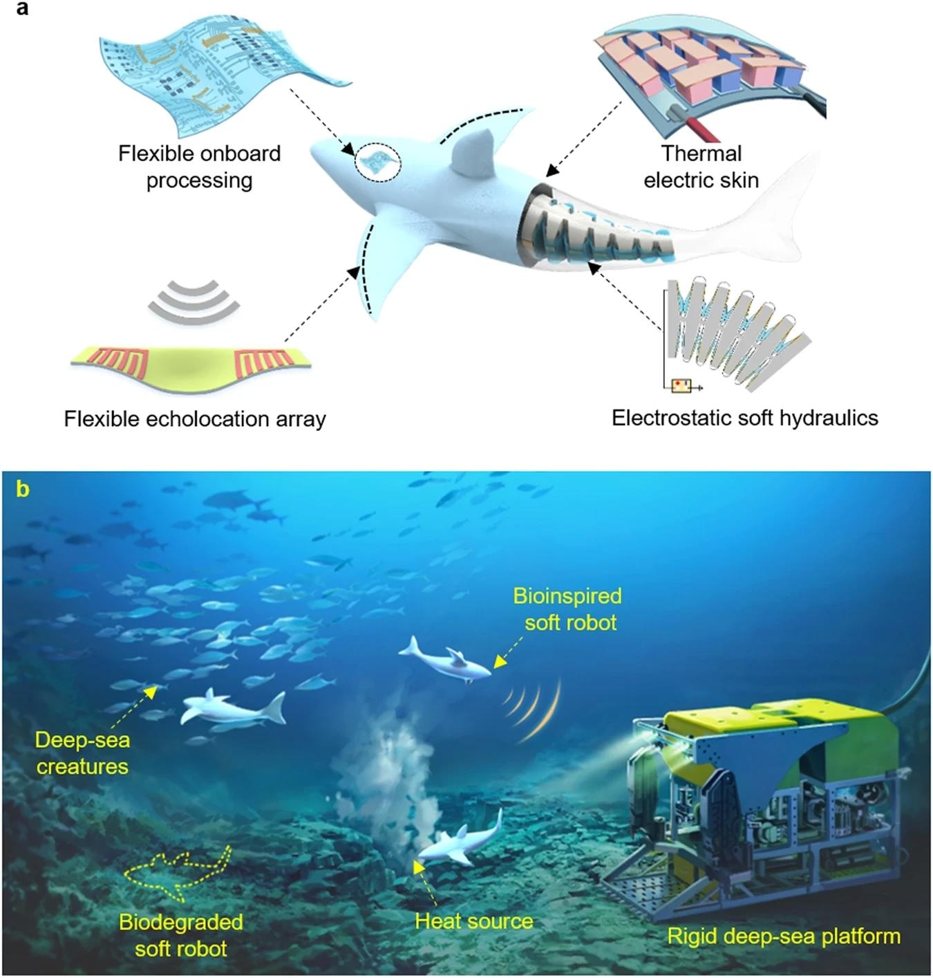 a By integrating soft electrostatic hydraulic actuation, soft sensory arrays, embodied energy regeneration skins, and flexible onboard processing electronics, future deep-sea soft robots could enable long-endurance and more autonomous machine behaviors in deep-sea tasks. . b Bioinspired soft robots will enable scientists to perform in situ investigations of the deep-sea habitats, and to preserve the original deep-sea ecosystem.
