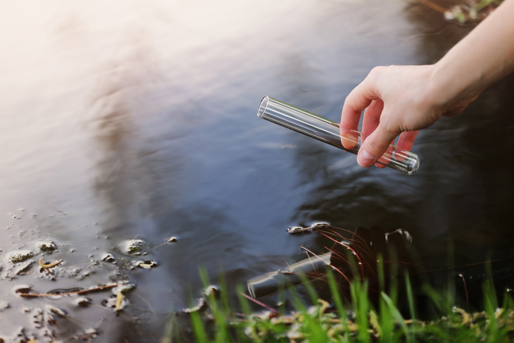 Study: Enhancing Dissolved Oxygen Prediction in Rivers Using Metaheuristic Algorithms and Neural Networks. Image credit: Andrii Medvediuk/Shutterstock