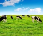 Efficient Dairy Cow Behavior Recognition: A Two-Pathway X3DFast Model