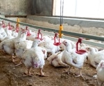 Machine Learning for Precision Broiler Weight Estimation