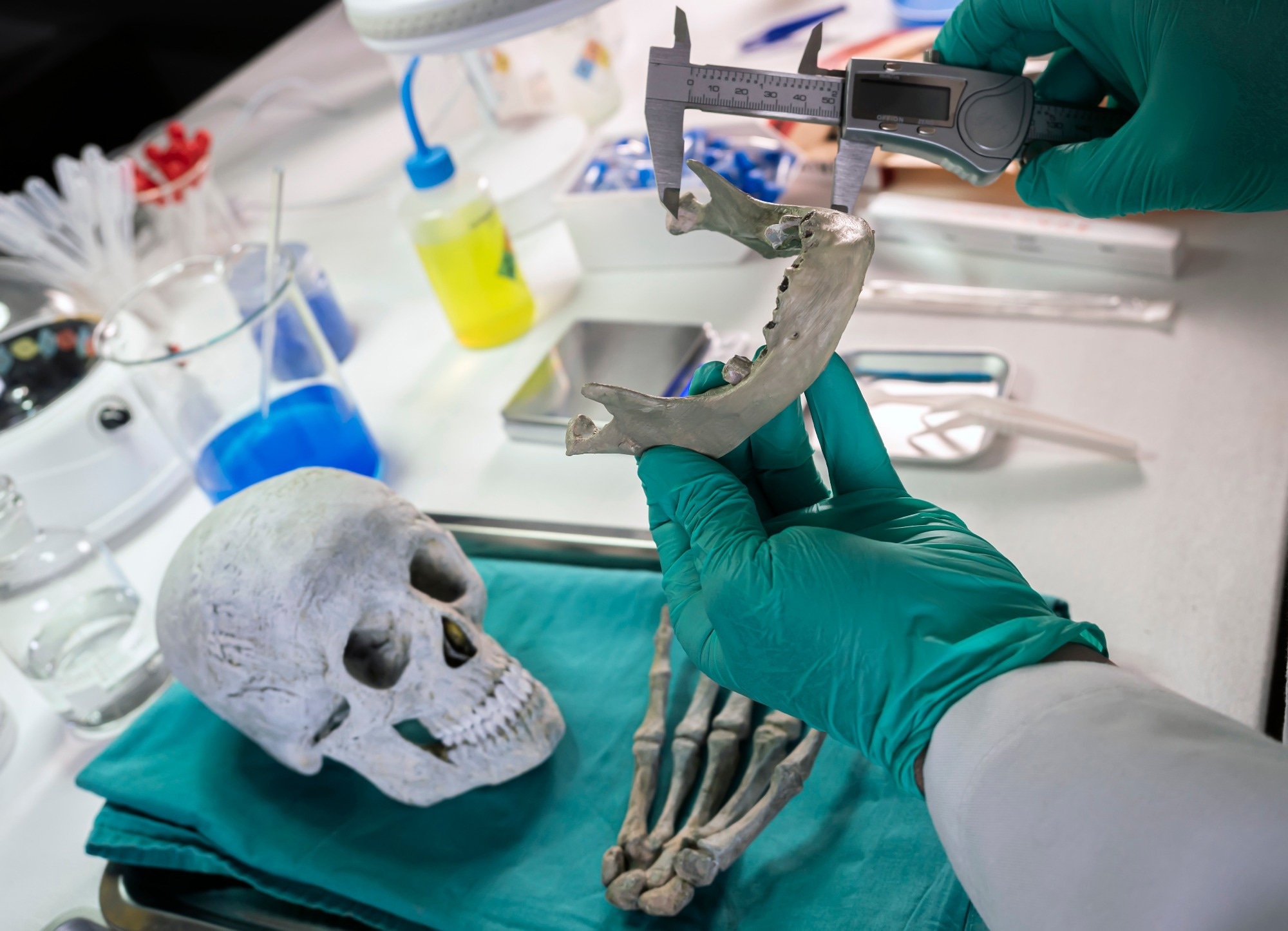 Study: Automated Forensic Sex Determination from Skull Morphology Using CT and AI. Image credit: felipe caparros/Shutterstock