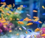 IoT and ML for Behavioral Analysis of Ornamental Fish
