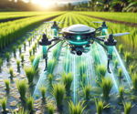 YOLOX Breakthrough: Targeting Weeds in Paddy Fields