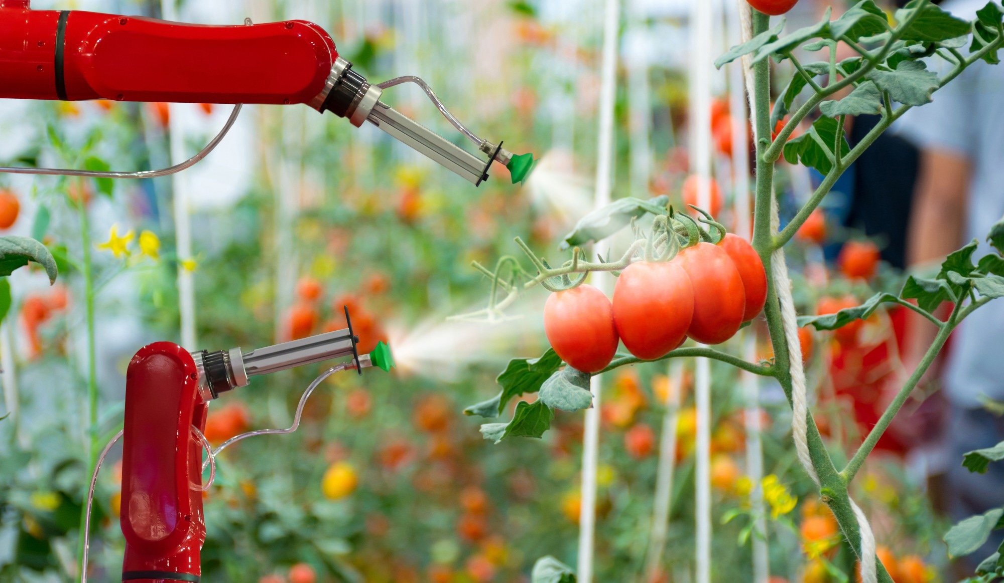 Study: AI-Driven Robotic Crop Farming for Sustainability. Image credit: kung_tom/Shutterstock
