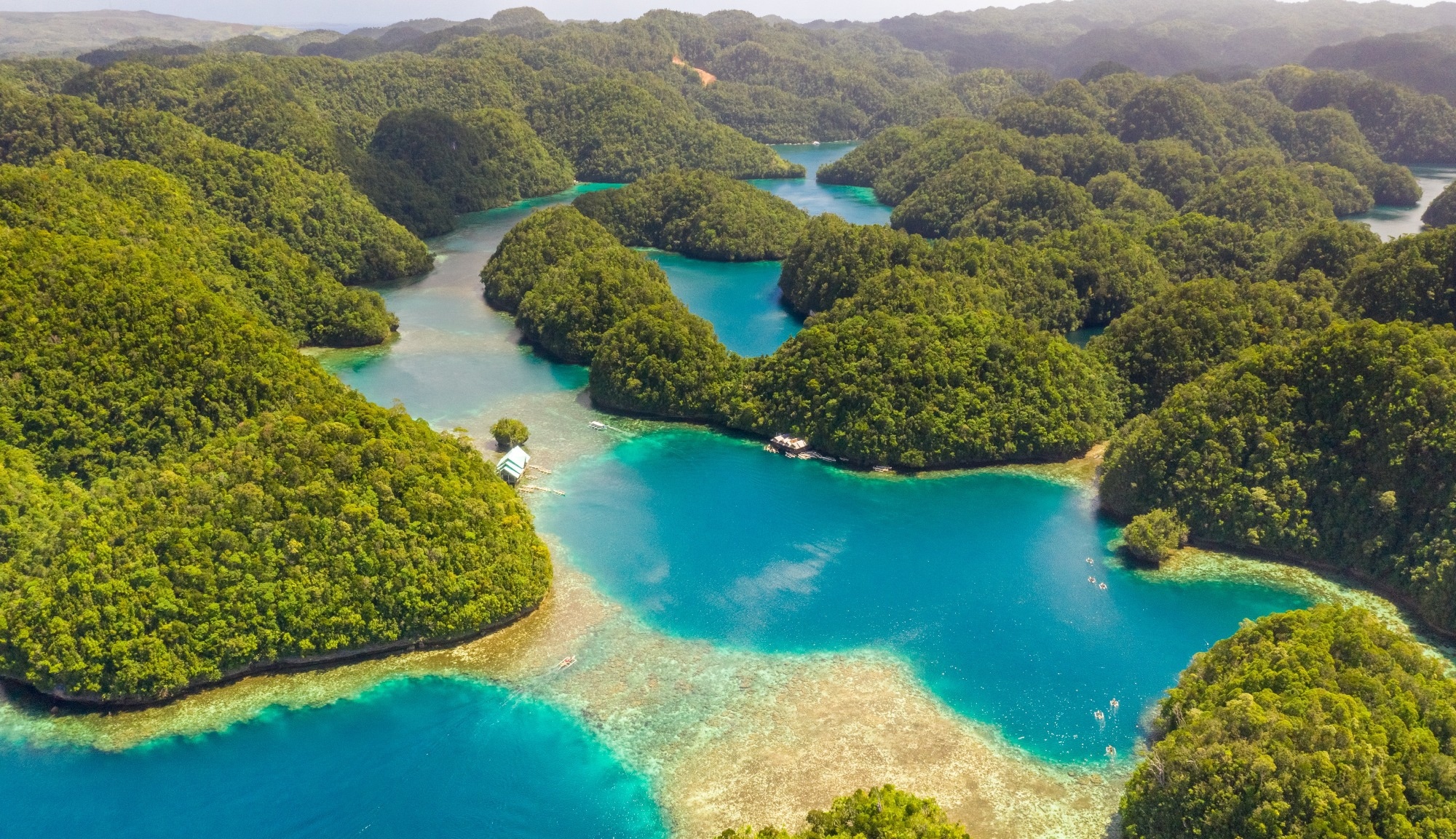Study: Leveraging Machine Learning Techniques for Forest Cover Assessment. Image credit: Valentin Ayupov/Shutterstock