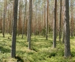 Extensive ML Dataset for Advancing Stomatal Research in Hardwood Trees