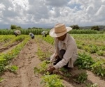 Revolutionizing Ergonomics in Agriculture Using AI
