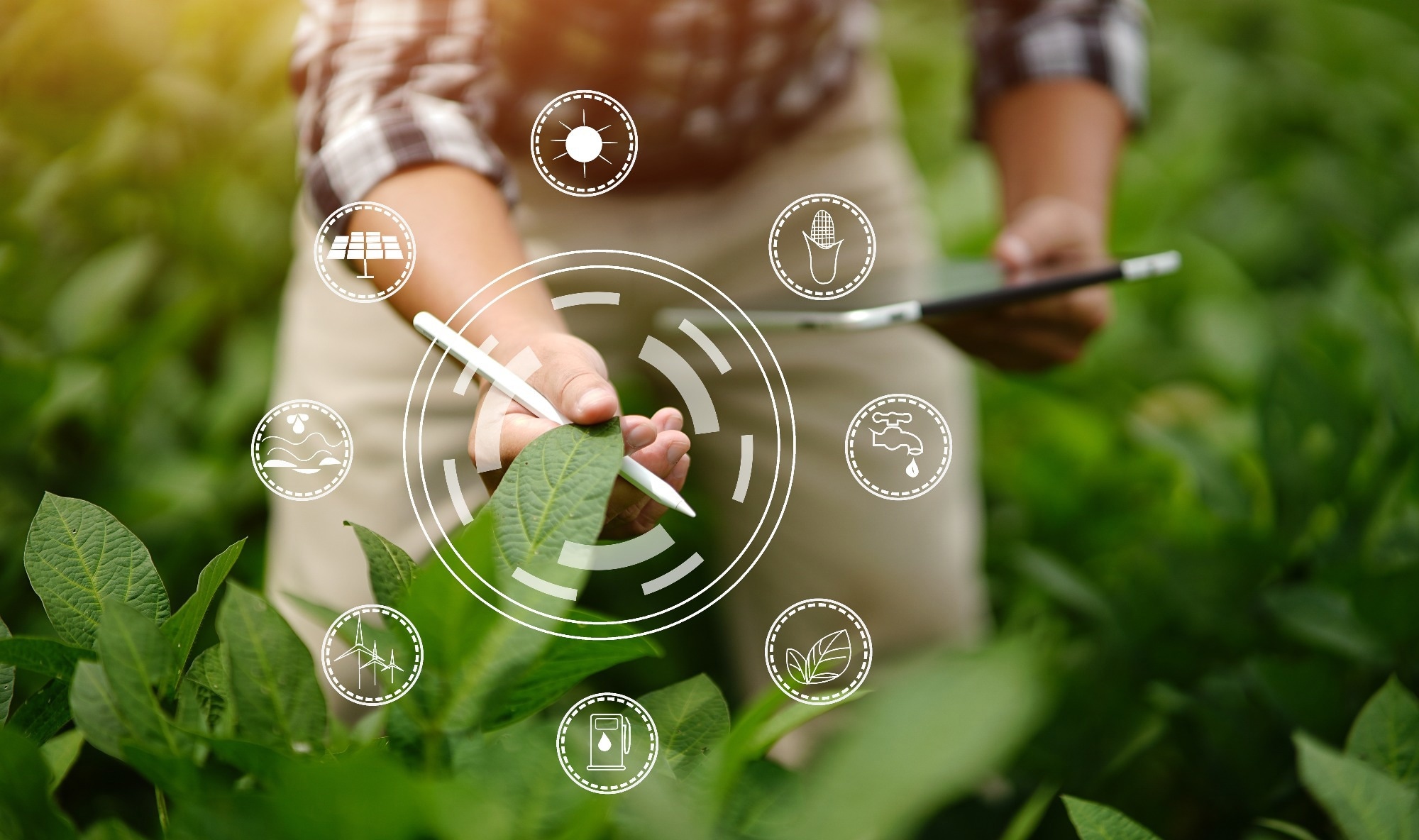 Study: IoT-Driven Smart Farming System to Transform Agriculture. Image credit: L.O.N Dslr Camera/Shutterstock