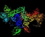 Application of Deep Learning in Protein Crystallography