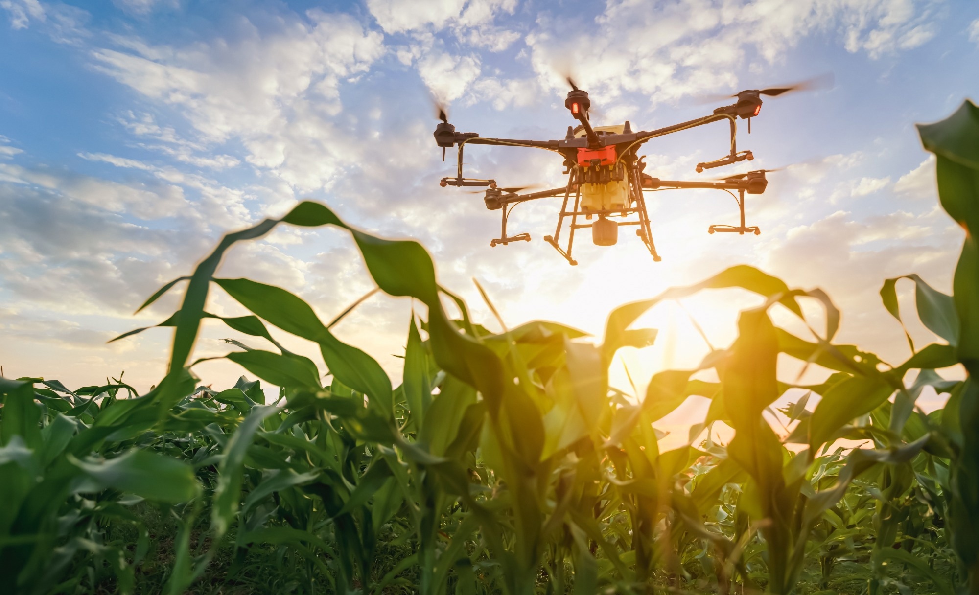Study: Revolutionizing Carbon Analysis in the U.S. Corn Belt Using AI. Image credit: Attasit saentep /Shutterstock
