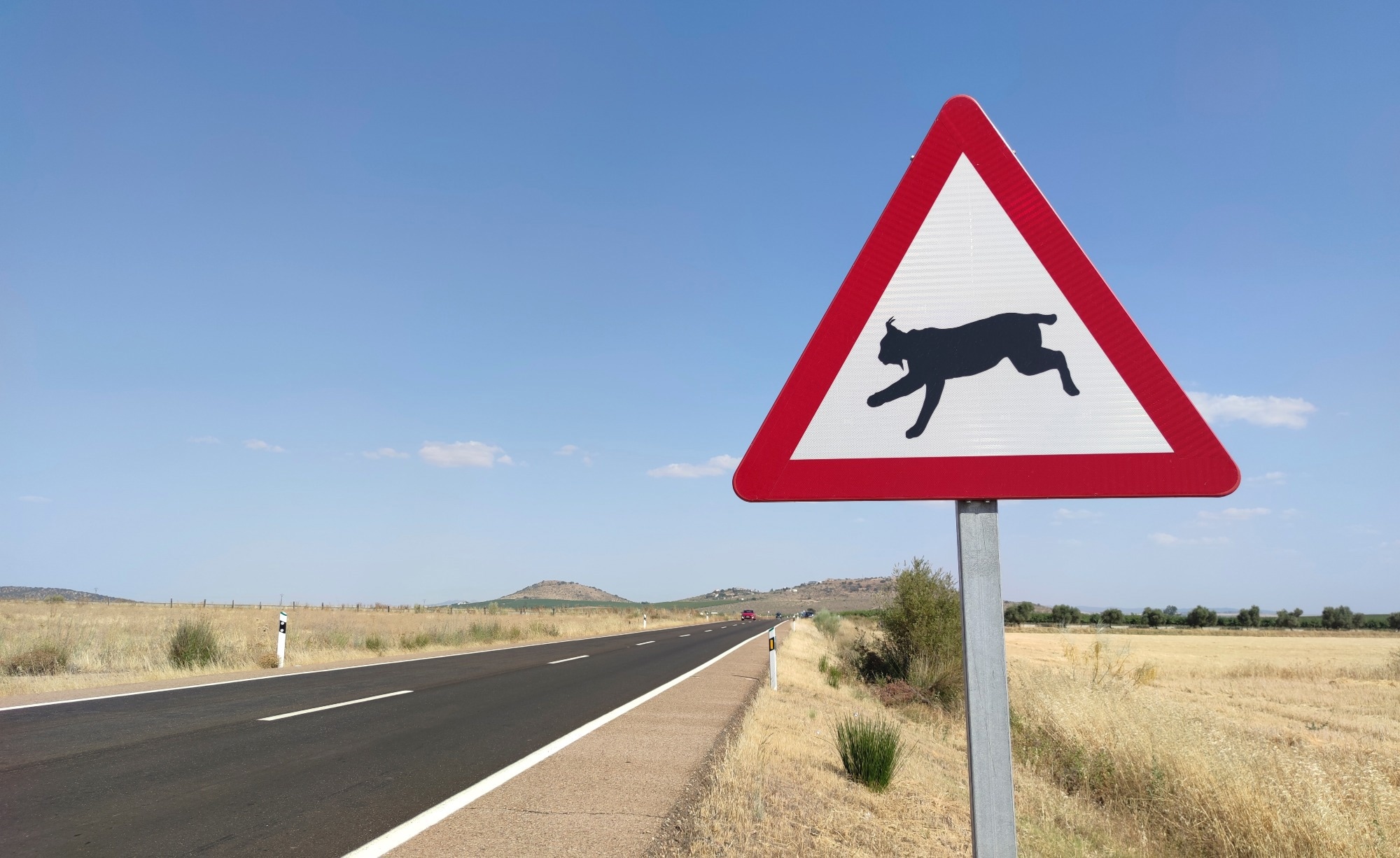 Study: A Machine Learning Approach for Real-time Animal Detection on Highways. Image credit: WH_Pics/Shutterstock
