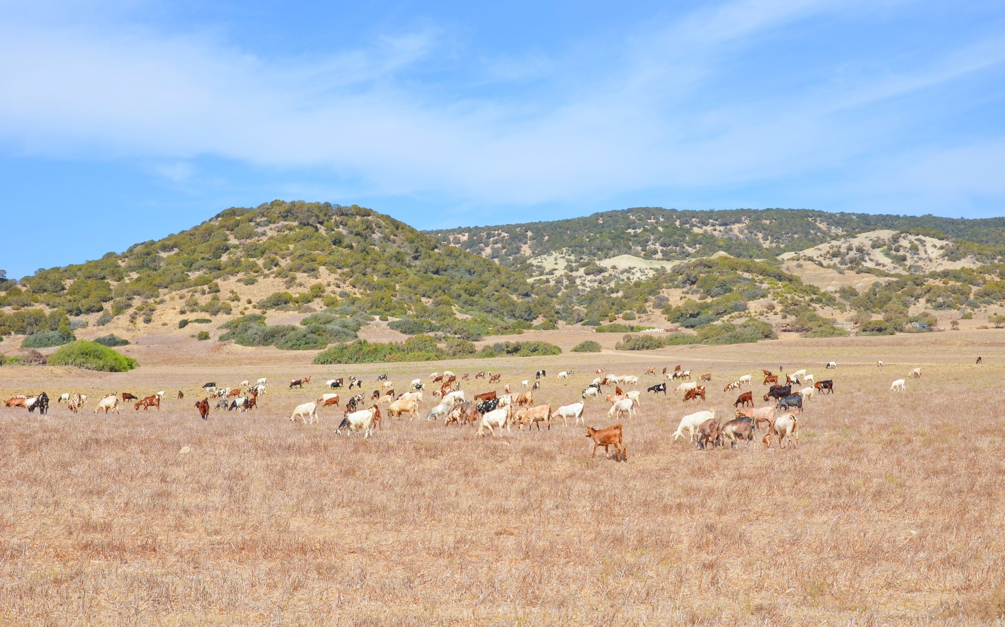 Study: Hybrid AI Model Outperforms Conventional Approaches in Soil Temperature Prediction. Image credit: Petr Pohudka/Shutterstock