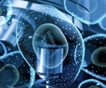 Revolutionizing Molecular Imaging: CGANs and FM-AFM Unveil Unprecedented Precision