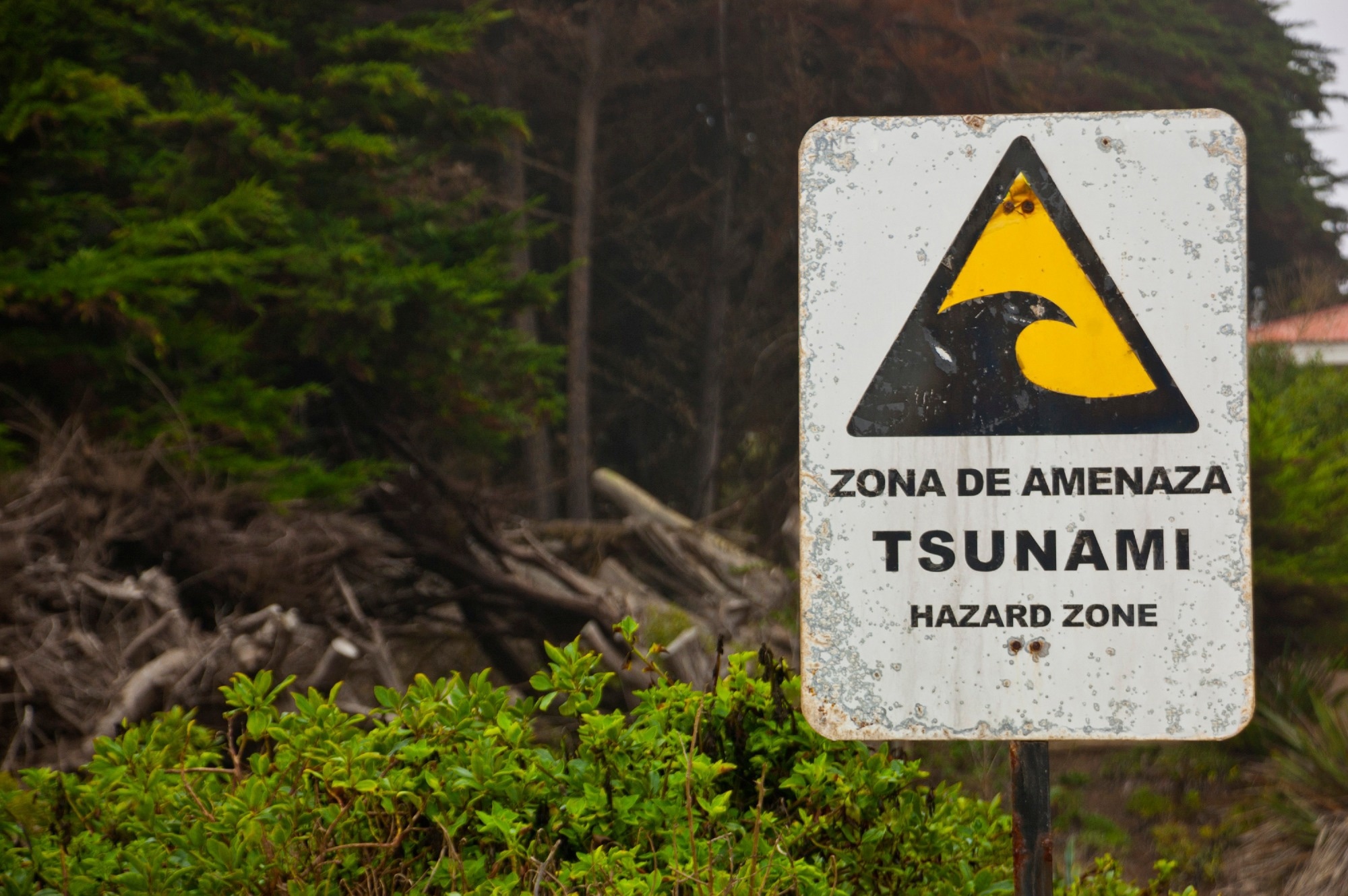 Study: Advancing Connectivity Analysis in Cubic Fuzzy Graphs for Disaster Management: A Study on Tsunami Threat Assessment. Image credit: Leonardo Dantas Teixeira/Shutterstock