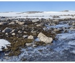 UAVs and Machine Learning to Advance Antarctic Vegetation Monitoring