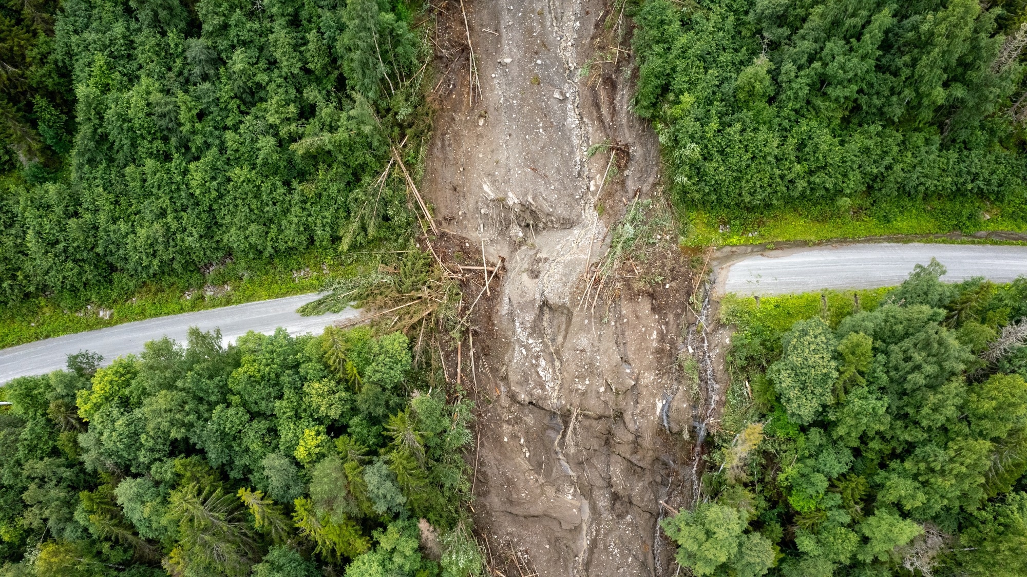 Study: Landslide Prediction with Full Seismic Waveform Analysis Using Deep Learning. Image credit: Jakub Stanek/Shutterstock