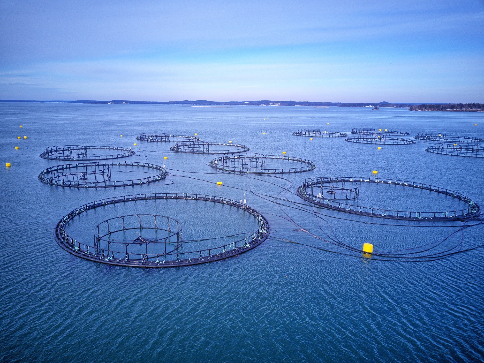 Study: Smart Seas: Revolutionizing Aquaculture with AIoT and Digital Twin-Based Intelligent Fish Farming. Image Credit: leo w kowal /Shutterstock