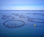 Smart Seas: Revolutionizing Aquaculture with AIoT and Digital Twin-Based Intelligent Fish Farming