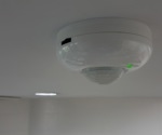 Shaping the Future of Motion Detection: Rippled-Assisted Optoelectronic Arrays
