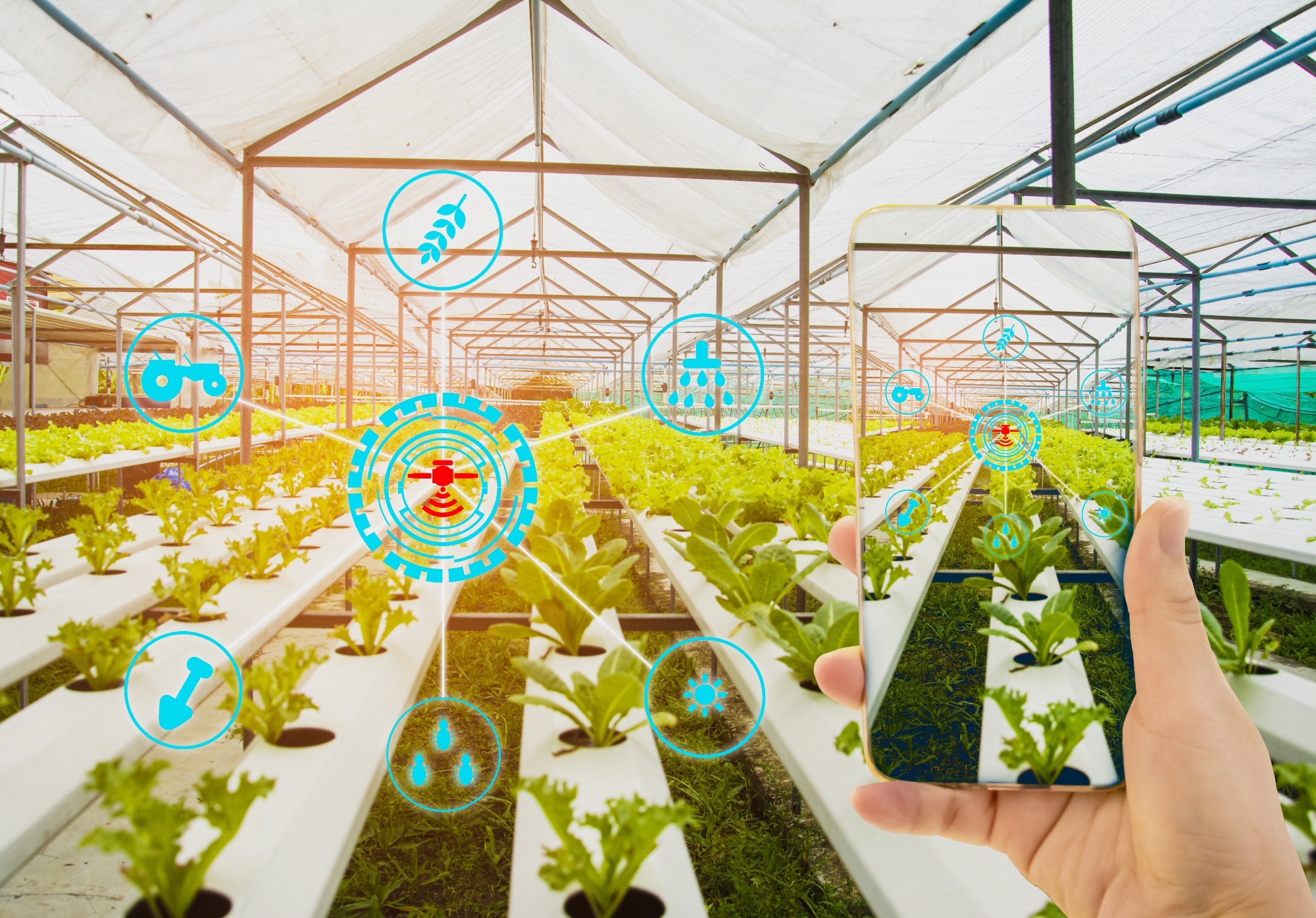 Study:  Optimizing Sensor Placement: Forecasting Micro-Climates in Greenhouses Using Dense Neural Networks. Image credit: ART STOCK CREATIVE/Shutterstock