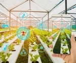 Optimizing Sensor Placement: Forecasting Micro-Climates in Greenhouses Using Dense Neural Networks