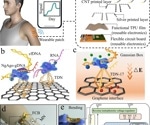 Tetrahedral Nanostructure-Based Wearable Microneedles for Long-Term Nucleic Acids Tracking